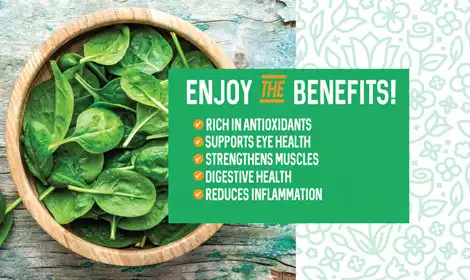 Uses of Freeze Dried Spinach Powder in Smoothies and Snacks